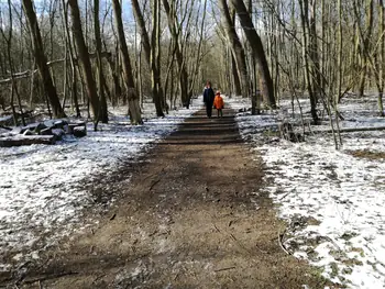 De Panne in de sneeuw (België)